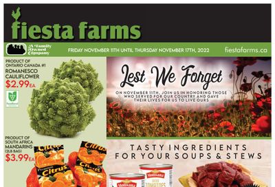 Fiesta Farms Flyer November 11 to 17