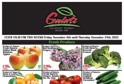 Galati Market Fresh Flyer November 11 to 24