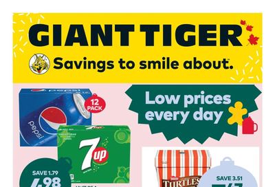 Giant Tiger (ON) Flyer November 16 to 22