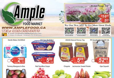 Ample Food Market (Brampton) Flyer November 25 to December 1