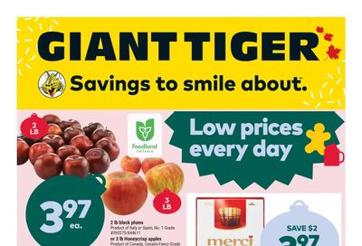 Giant Tiger (ON) Flyer November 30 to December 6