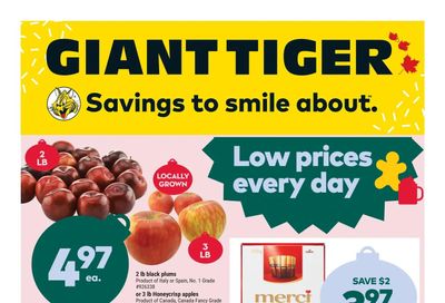 Giant Tiger (Atlantic) Flyer November 30 to December 6