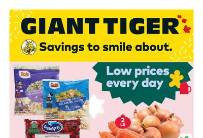 Giant Tiger (ON) Flyer December 7 to 13