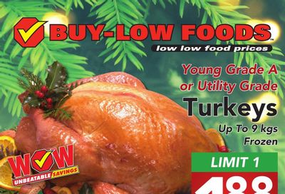 Buy-Low Foods Flyer December 11 to 17