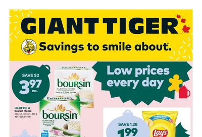 Giant Tiger (ON) Flyer December 14 to 20