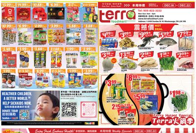 Terra Foodmart Flyer December 16 to 22