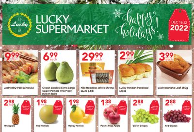 Lucky Supermarket (Surrey) Flyer December 16 to 22