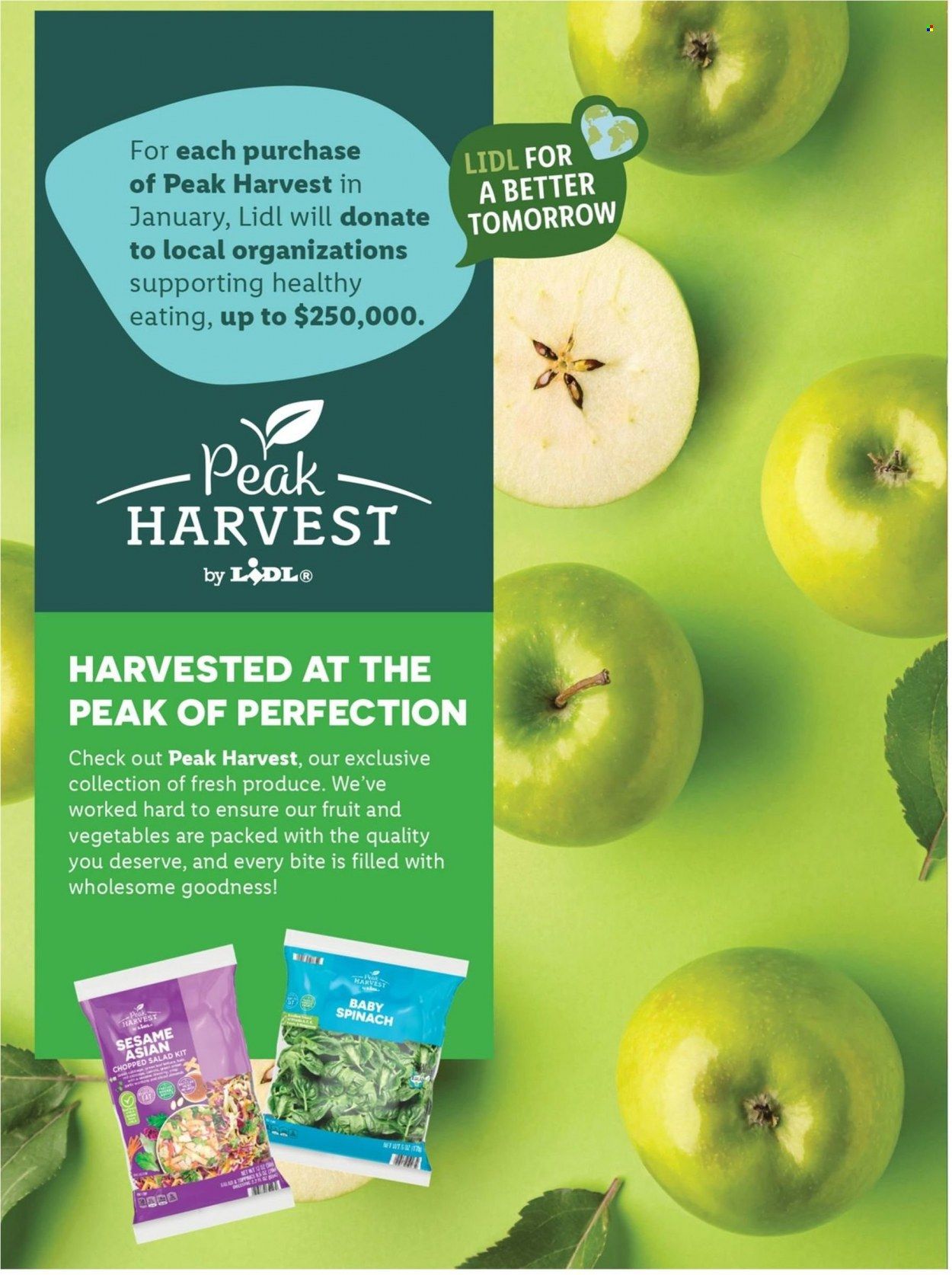 Lidl (GA, MD, NC, NJ, PA, SC, VA) Weekly Ad Flyer Specials December 28 to January 3, 2023