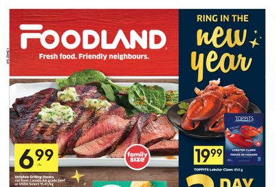 Foodland (Atlantic) Flyer December 29 to January 4