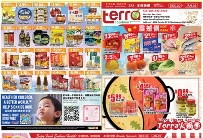 Terra Foodmart Flyer December 30 to January 5