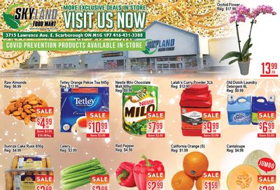 Skyland Food Mart Flyer December 30 to January 5