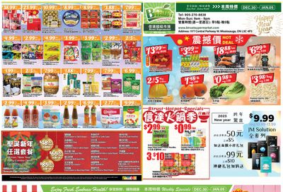 Btrust Supermarket (Mississauga) Flyer December 30 to January 5