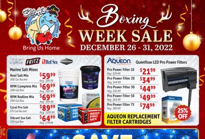 Big Al's Boxing week Flyer December 26 to 31