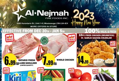Alnejmah Fine Foods Inc. Flyer December 30 to January 5