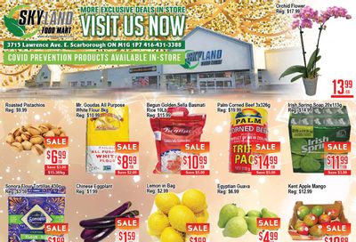 Skyland Food Mart Flyer January 6 to 12