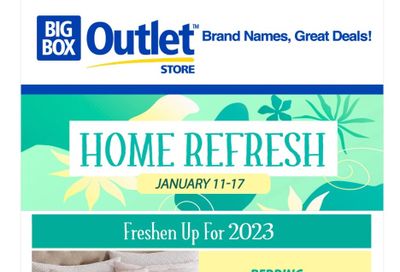 Big Box Outlet Store Flyer January 11 to 17