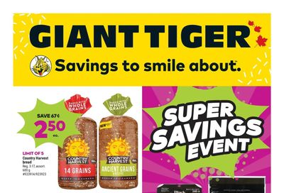 Giant Tiger (ON) Flyer January 11 to 17