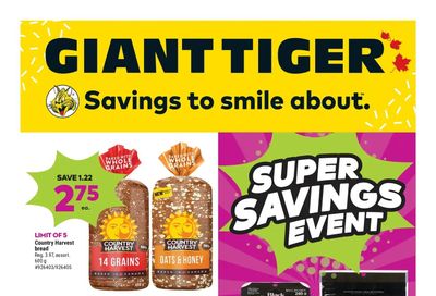 Giant Tiger (Atlantic) Flyer January 11 to 17