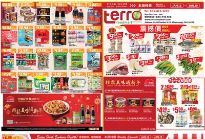 Terra Foodmart Flyer January 13 to 19