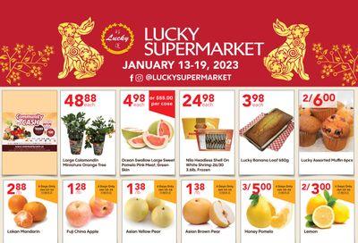 Lucky Supermarket (Surrey) Flyer January 13 to 19