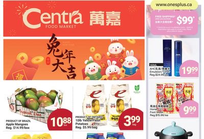 Centra Foods (North York) Flyer January 13 to 19
