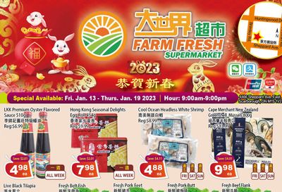 Farm Fresh Supermarket Flyer January 13 to 19