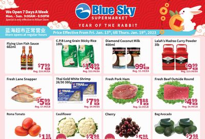 Blue Sky Supermarket (North York) Flyer January 13 to 19