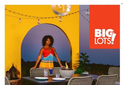 Big Lots Weekly Ad Flyer Specials January 7 to July 7, 2023