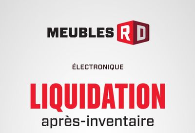 Meubles RD Electronics Flyer January 16 to 19