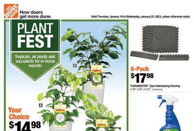 Home Depot (Atlantic) Flyer January 19 to 25