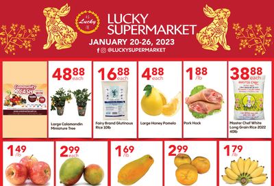 Lucky Supermarket (Winnipeg) Flyer January 20 to 26