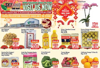 Skyland Food Mart Flyer January 20 to 26