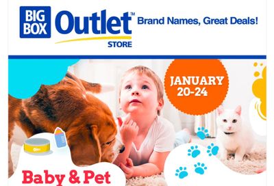 Big Box Outlet Store Flyer January 19 to 24