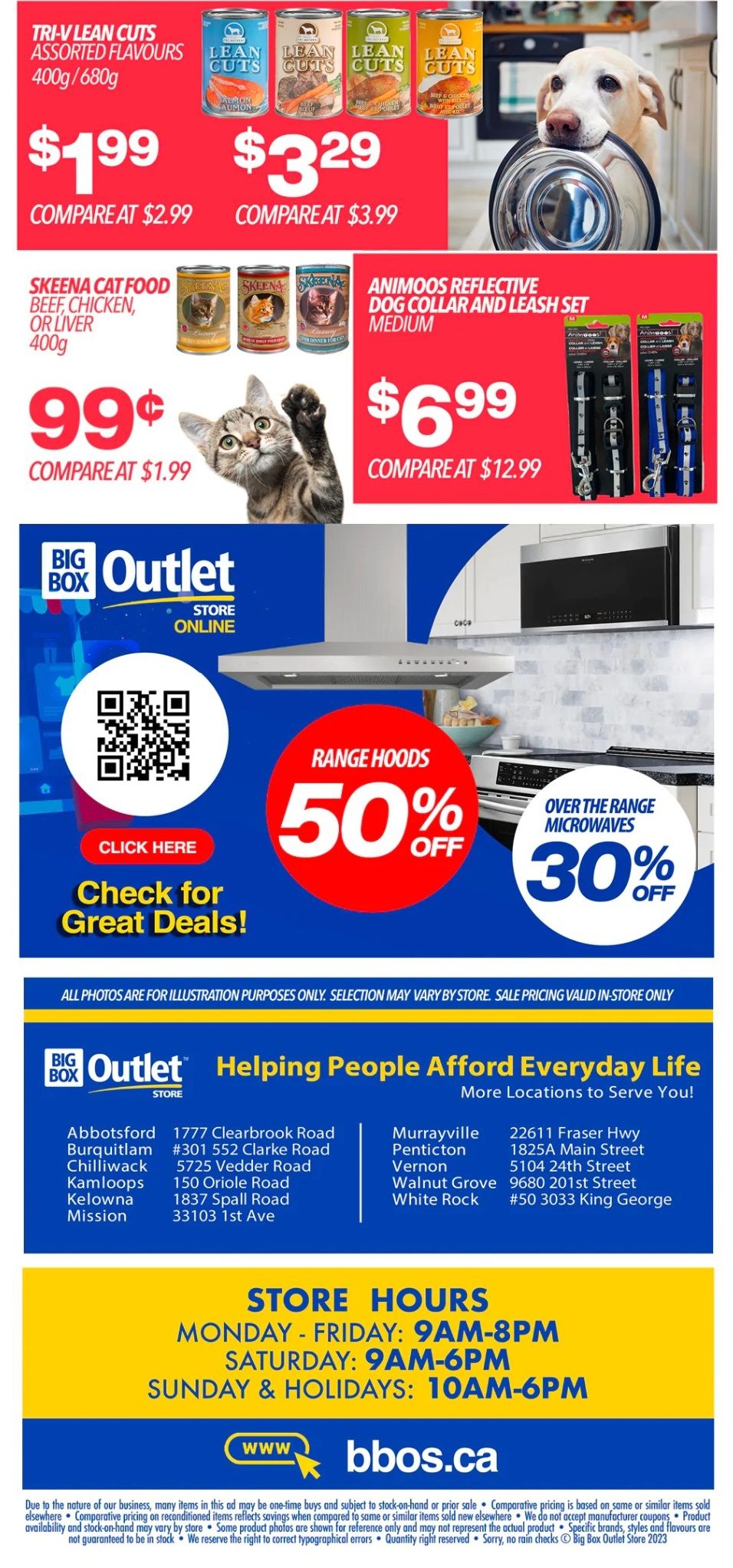 Big Box Outlet Store Flyer January 19 to 24
