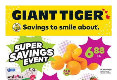 Giant Tiger (Atlantic) Flyer January 25 to 31