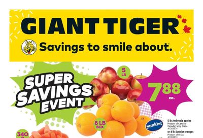 Giant Tiger (West) Flyer January 25 to 31