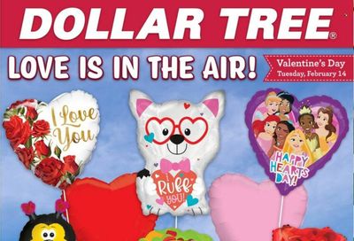 Dollar Tree Weekly Ad Flyer Specials January 22 to February 4, 2023