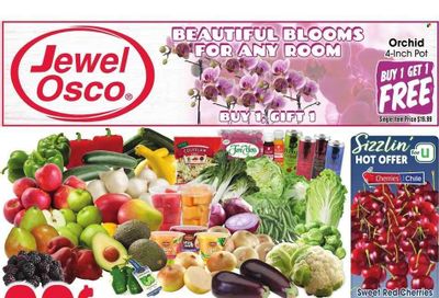 Jewel Osco (IL) Weekly Ad Flyer Specials January 25 to January 31, 2023