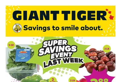 Giant Tiger (ON) Flyer February 1 to 7