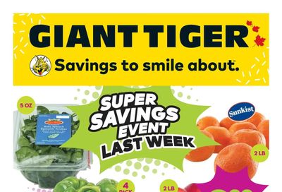 Giant Tiger (Atlantic) Flyer February 1 to 7