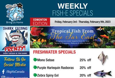 Big Al's (Edmonton) Weekly Specials February 3 to 9