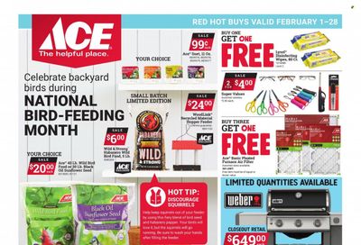 ACE Hardware Weekly Ad Flyer Specials February 1 to February 28, 2023
