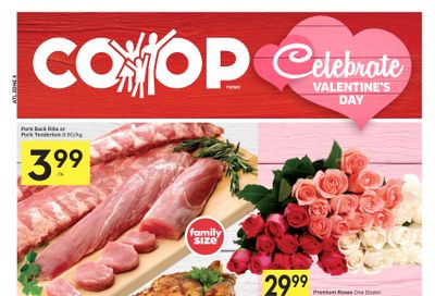 Foodland Co-op Flyer February 9 to 15