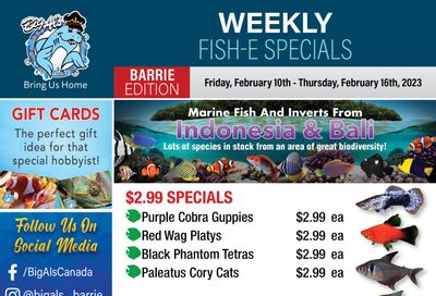 Big Al's (Barrie) Weekly Specials February 10 to 16