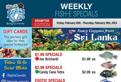 Big Al's (Brampton) Weekly Specials February 10 to 16