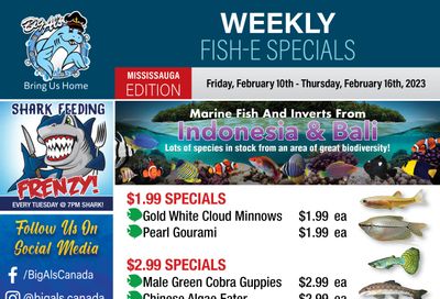 Big Al's (Mississauga) Weekly Specials February 10 to 16