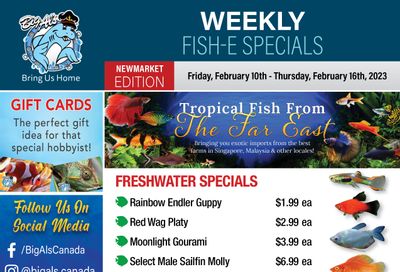 Big Al's (Newmarket) Weekly Specials February 10 to 16