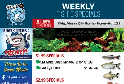 Big Al's (Ottawa East) Weekly Specials February 10 to 16