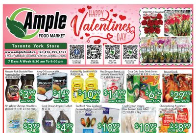 Ample Food Market (North York) Flyer February 10 to 16