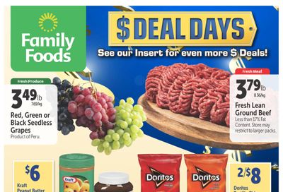 Family Foods Flyer February 16 to 22